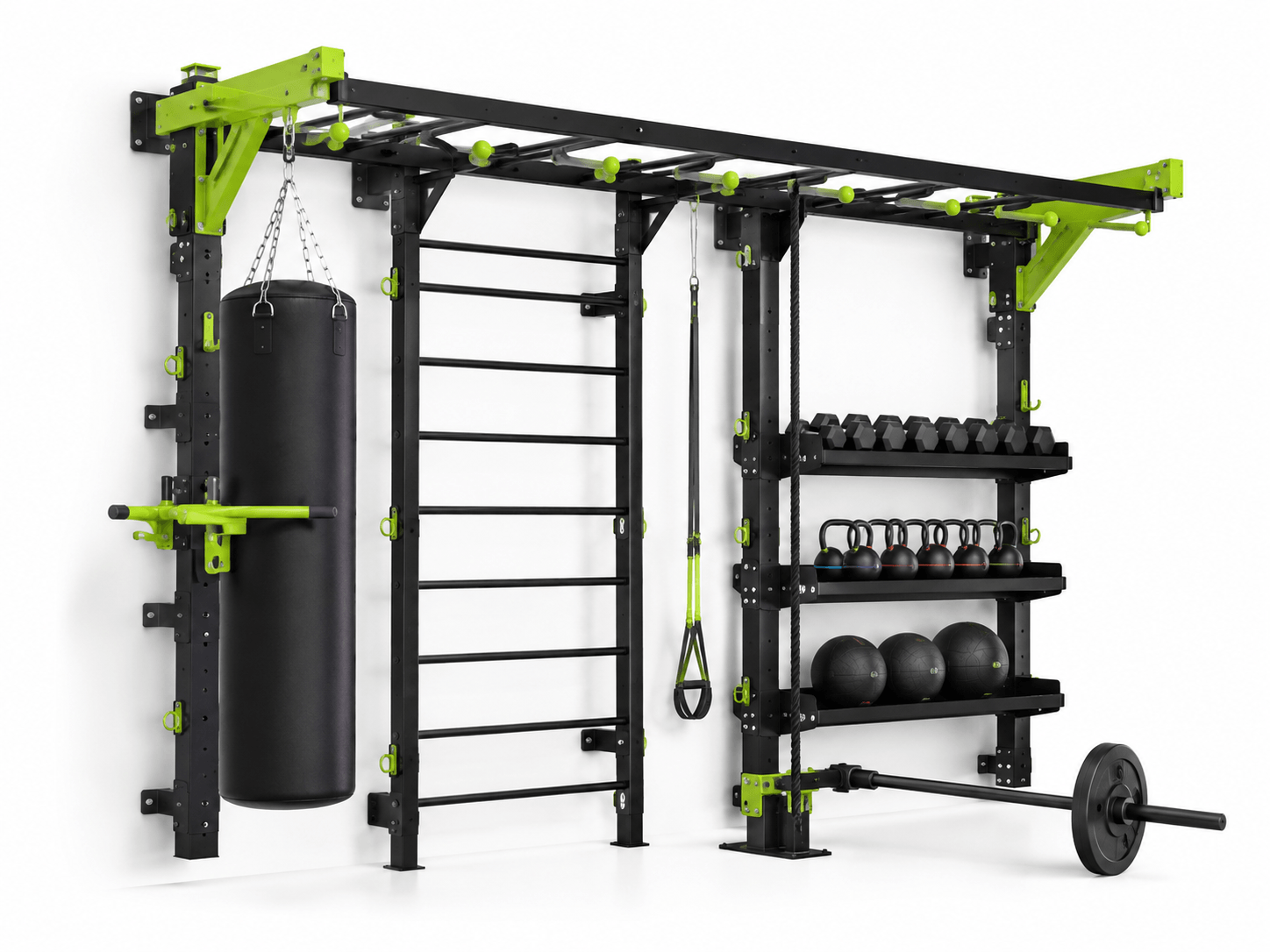 Wall Functional Trainer