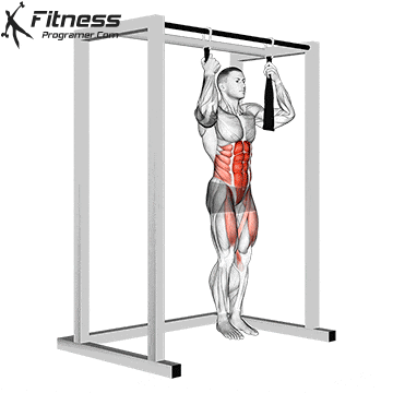 Ab Straps Leg Raise