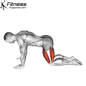All-Fours Quadriceps Stretch