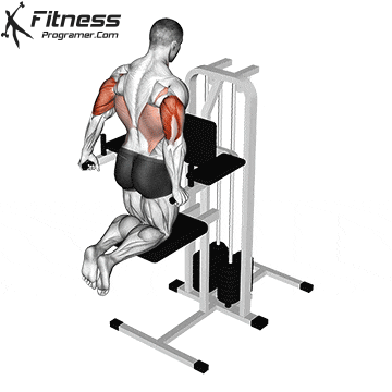 Assisted Triceps Dips