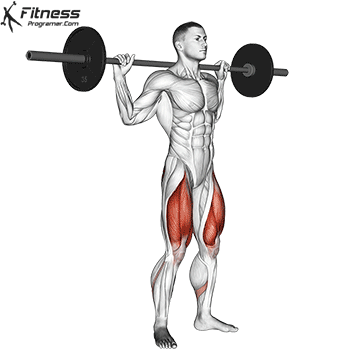 Barbell Back Squat