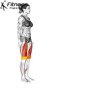 Banded Lunge
