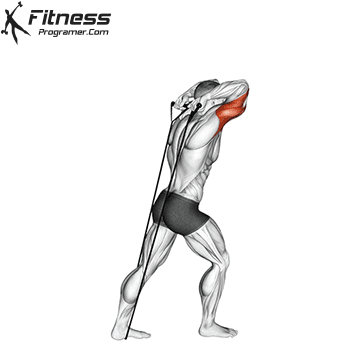 Banded Triceps Extension
