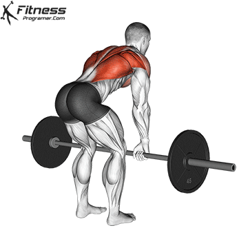 Barbell Bent-Over Row