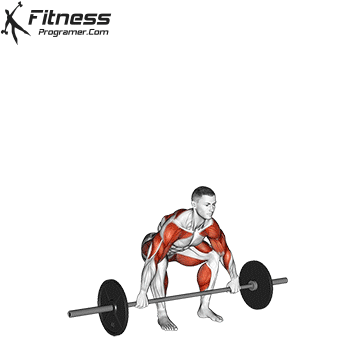 Barbell Muscle Snatch