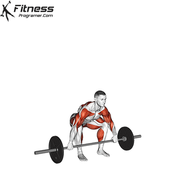 Barbell Power Snatch
