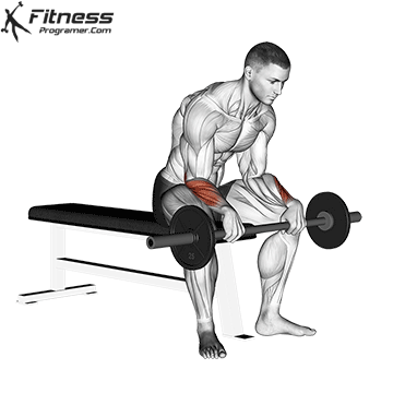 Barbell Reverse Wrist Curl