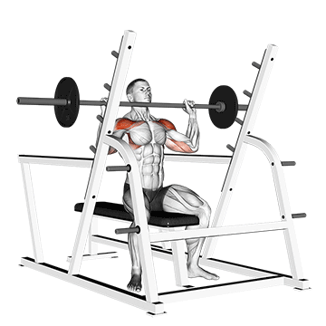 Barbell Shoulder Press