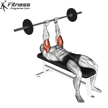 Barbell Triceps Extension