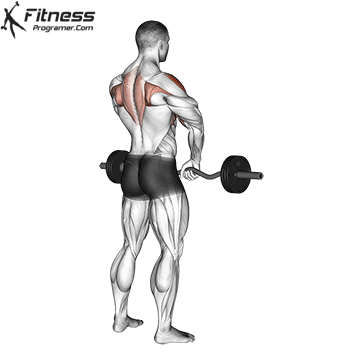 Barbell Upright Row