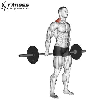 Behind-the-Back Barbell Shrug