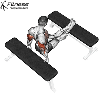 Bench Dips