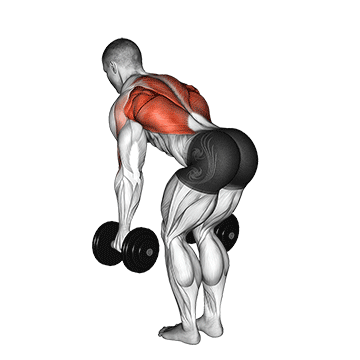 Bent-Over Dumbbell Row