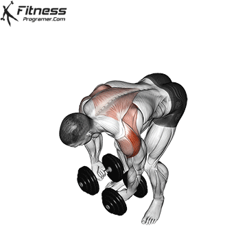 Bent-Over Lateral Raise