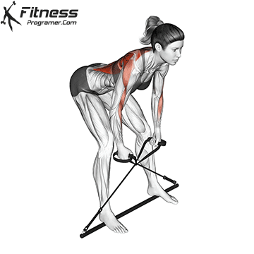 Bent-Over Row with Gymstick