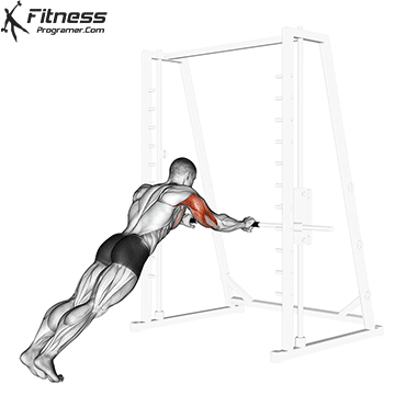 Bodyweight Skull Crushers