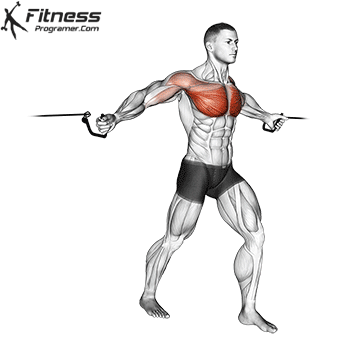 Cable Crossover Chest