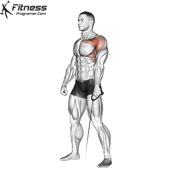 Cable Front Raise