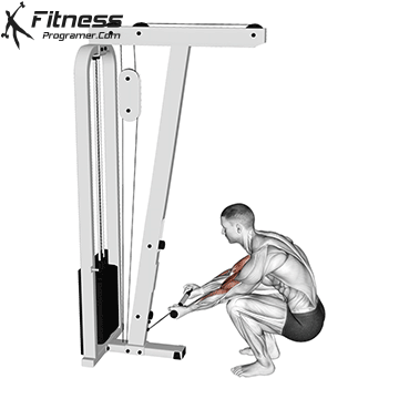 Cable Kneeling Biceps Curl