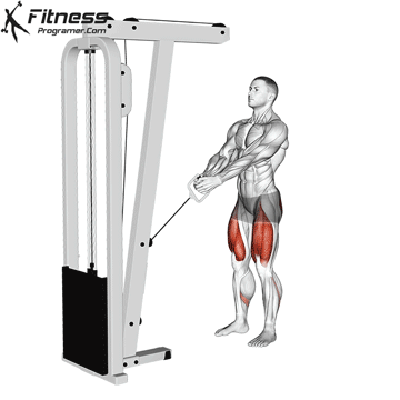 Cable Lunge