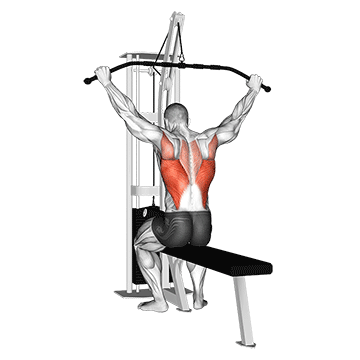 Cable Behind-the-Neck Pulldown