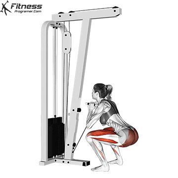 Cable Squat