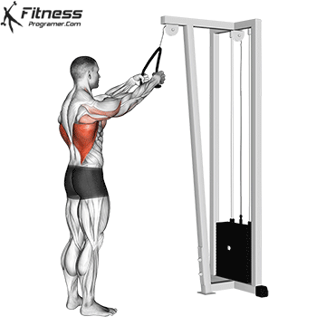 Cable Straight-Arm Pulldown