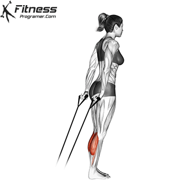 Calf Raise With Resistance Band