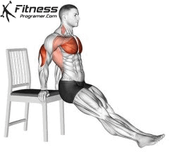 Chair Dips