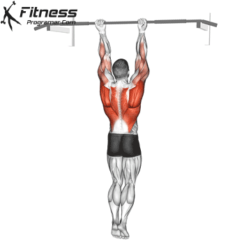Chin-Up Around The Bar