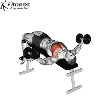 Decline Dumbbell Fly