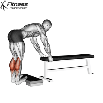 Donkey Calf Raise