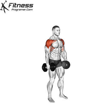 Dumbbell 6 Ways Raise