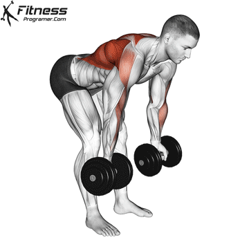 Dumbbell Bent-Over Row