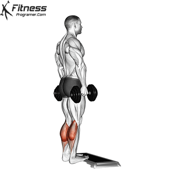 Dumbbell Calf Raise