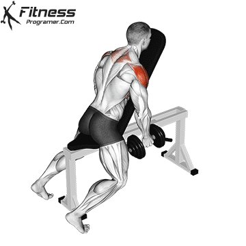 Dumbbell Chest Supported Lateral Raises