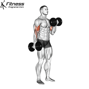 Dumbbell Biceps Curl