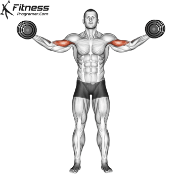 Dumbbell High Curl