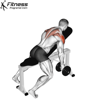 Dumbbell Incline T Raise