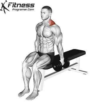 Dumbbell Seated Gittleson Shrug