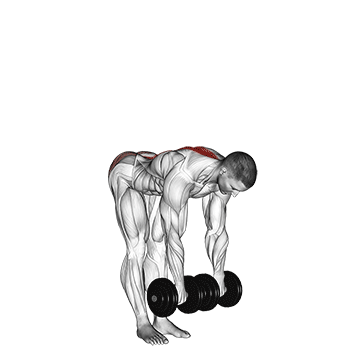 Dumbbell Stiff-Leg Deadlift
