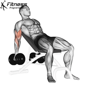 Incline Dumbbell Curl