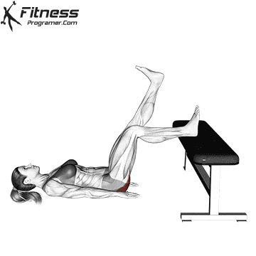 Single-Leg Glute Bridge on Bench