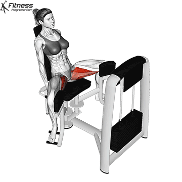 Hip Adduction Machine Reverse