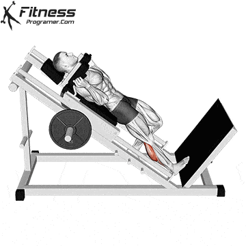 Hack Machine One Leg Calf Raise