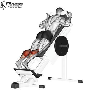 Hack Squat Calf Raise