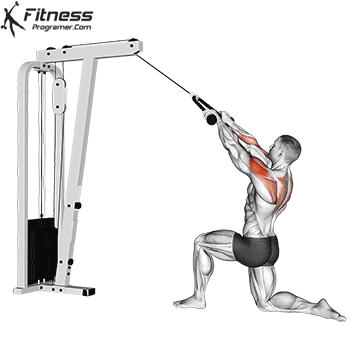 Half-Kneeling High Cable Rope Row