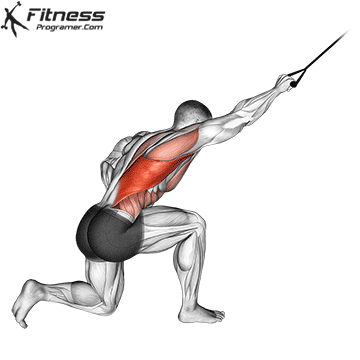 Half-Kneeling Lat Pulldown