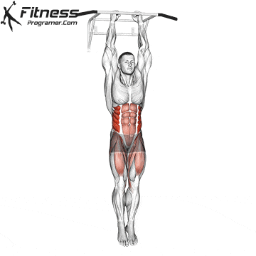 Hanging Side Knee Raises