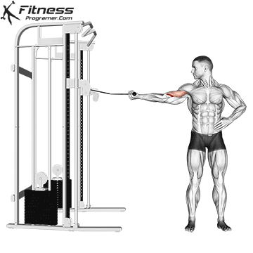 High Cable Single-Arm Biceps Curl